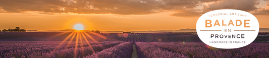 Balade en Provence: příběh o lásce, stesku po domově a návratu k tradici