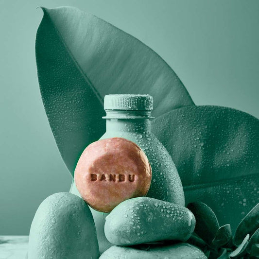 Tuhý šampón pre farbené vlasy - FLASH