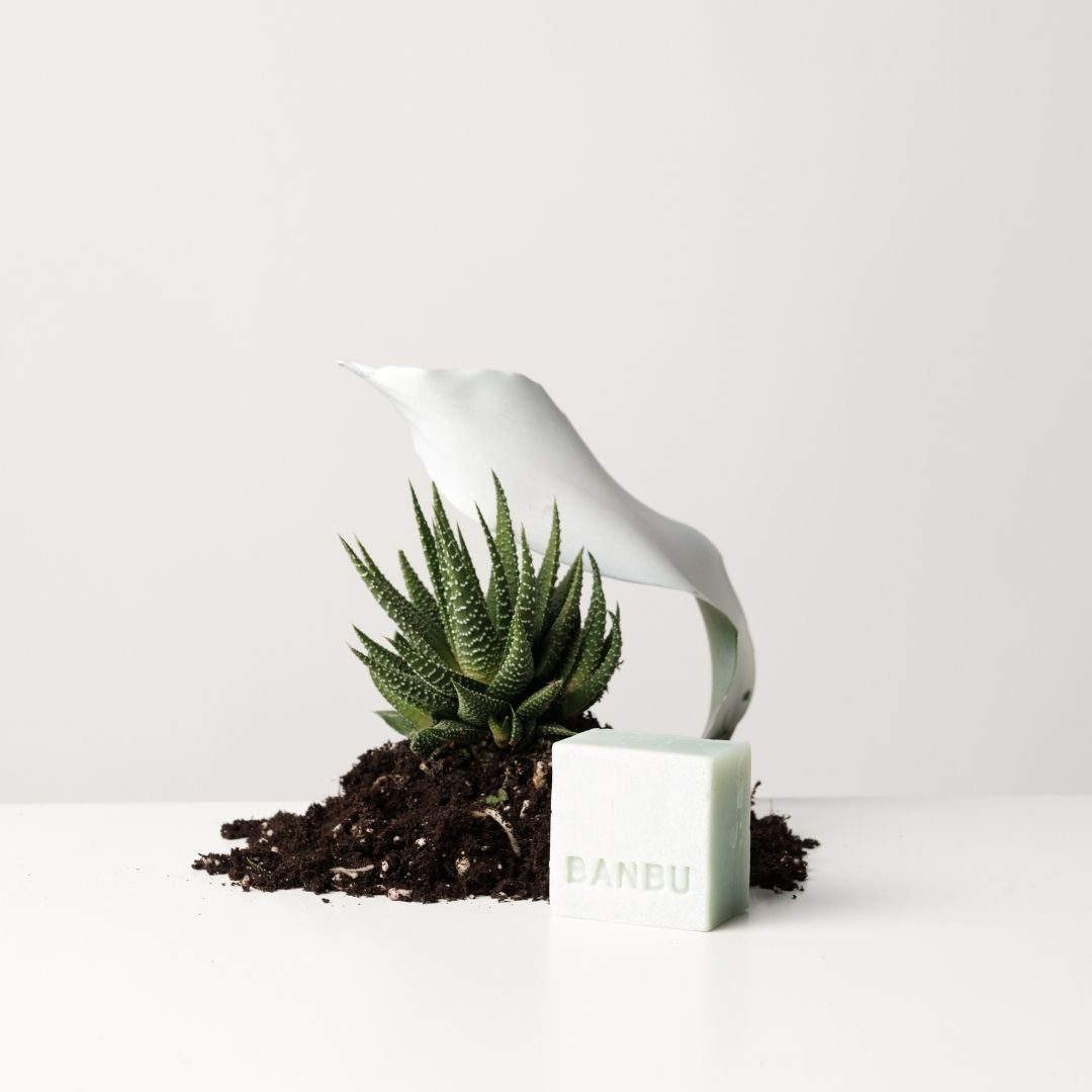 Sprchové mýdlo NOSTALGIA