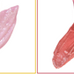 Glazed Peptides Lip Balm - Peptidový balzám na rty pro plnější vzhled a zrcadlový lesk